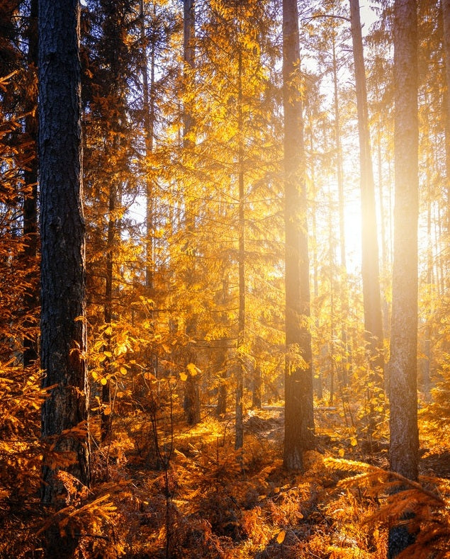 7 Reasons Why Autumn is the Best Season